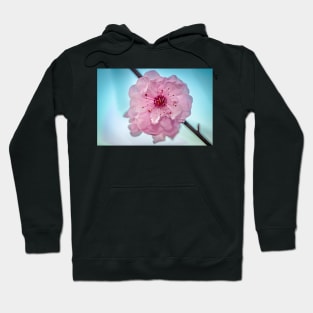 FLOWERS, NATURE’S Fashion Models Hoodie